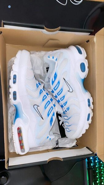 Nike Air Max TN Bleu