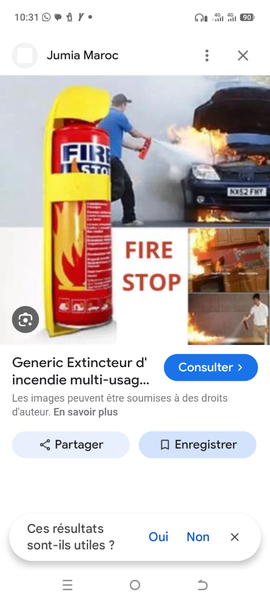 Extincteur d'incendie pour voiture 1000ml
