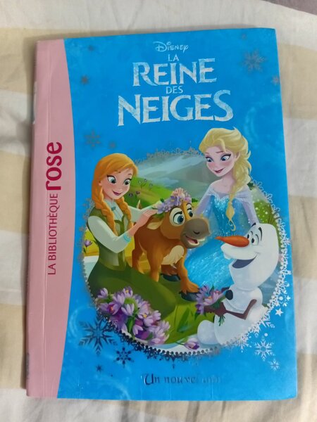 Livre La Reine des Neiges