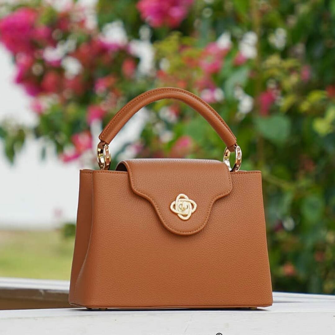 Ladies bag