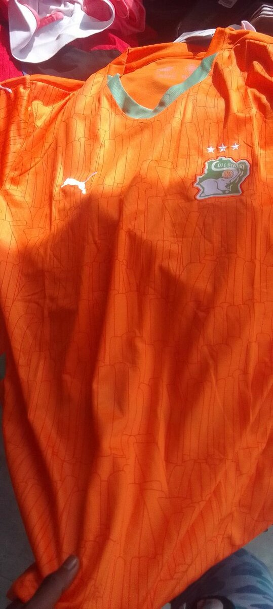 Maillot Côte d'Ivoire Puma