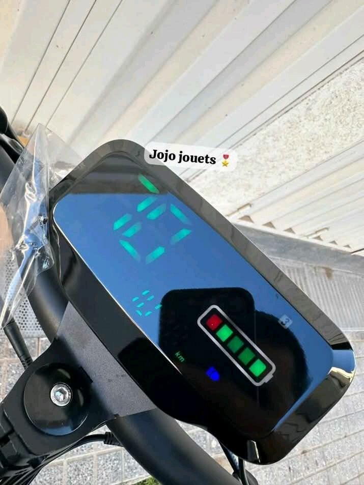 Trottinette Électrique Puissante