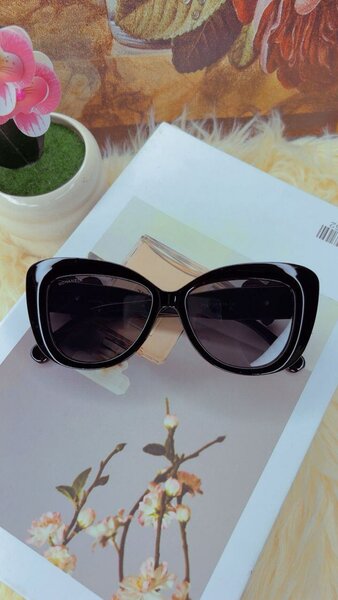 Lunettes de soleil rétro chic