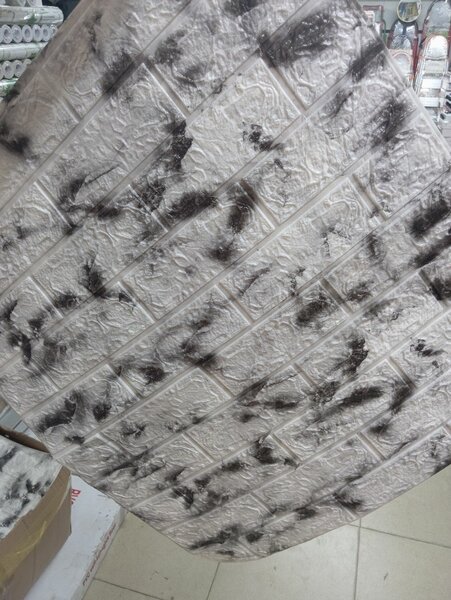 Papier peint 70cmx77cm intérieur