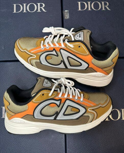 Dior sneaker