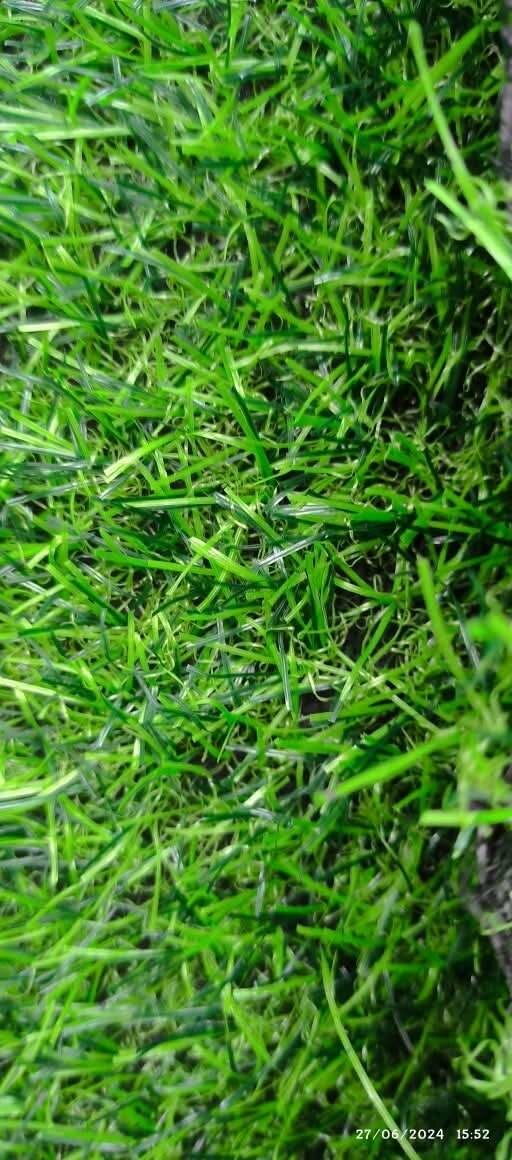 Tapis gazon synthétique original prix par m2