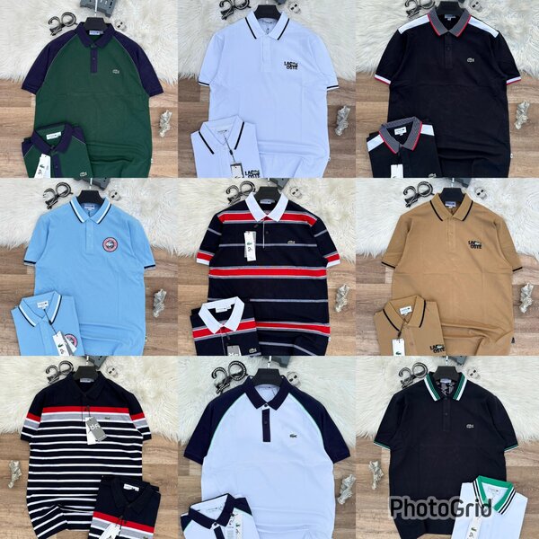 Polo élégant pour hommes