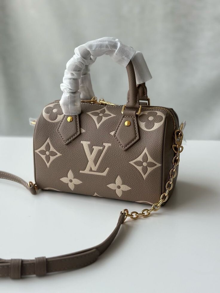 Sac à main Louis Vuitton Petite Malle
