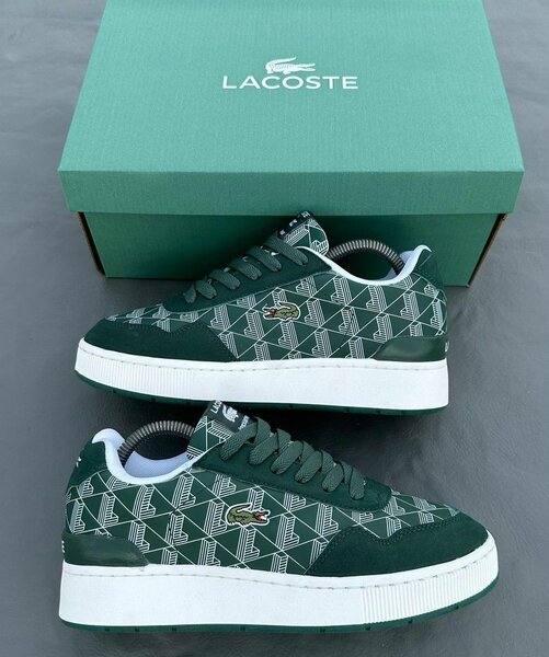 Sneakers Lacoste Homme Vert