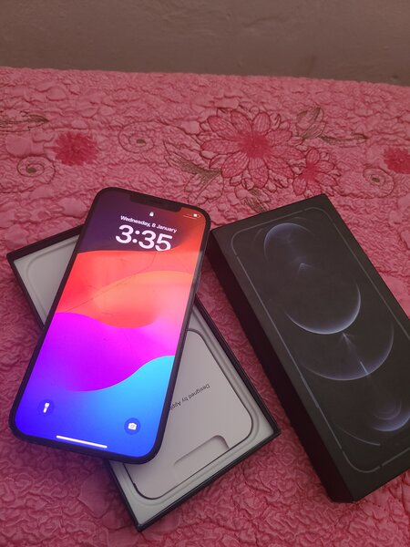 iPhone 12 Pro Max 256GB