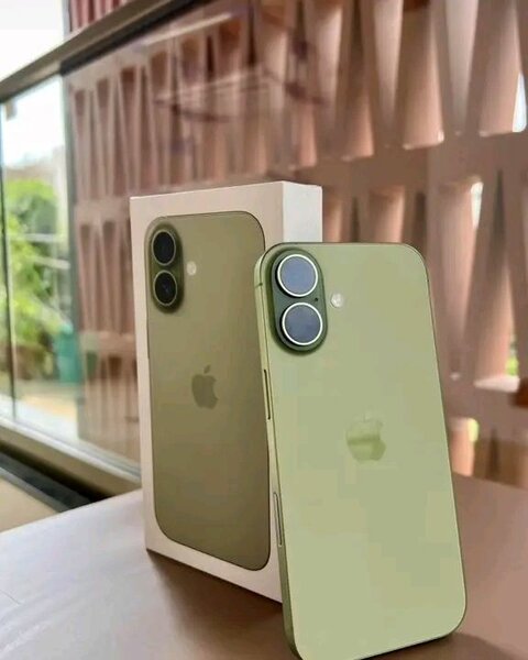 iPhone Vert Élégant