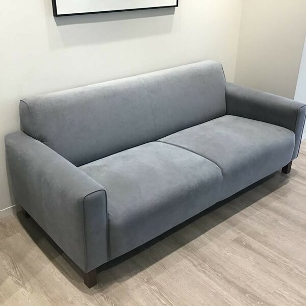 Sofa couches
