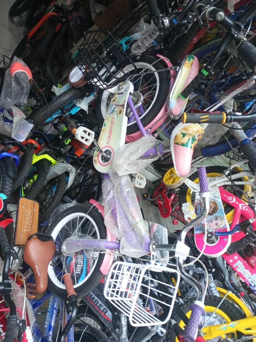 China cycle champion company