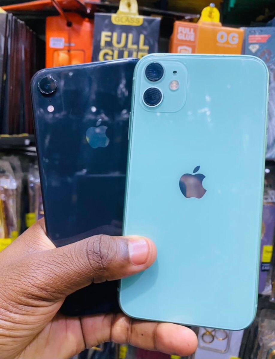iPhone XR and 11