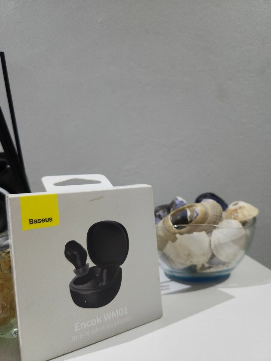 Baseus wireless earphones