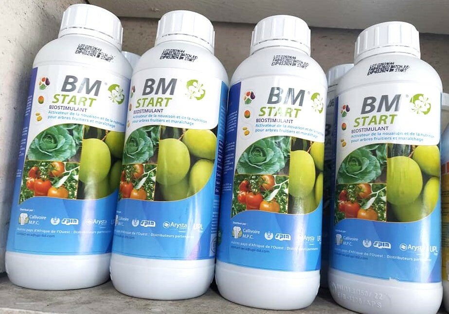 Biostimulant BM Start - Plantes