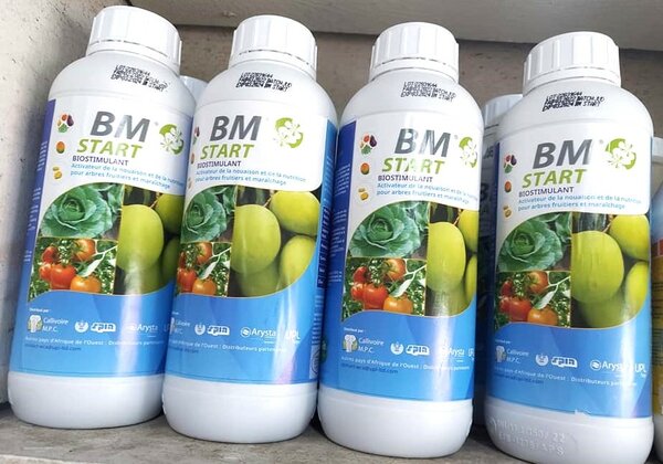 Biostimulant BM Start - Plantes