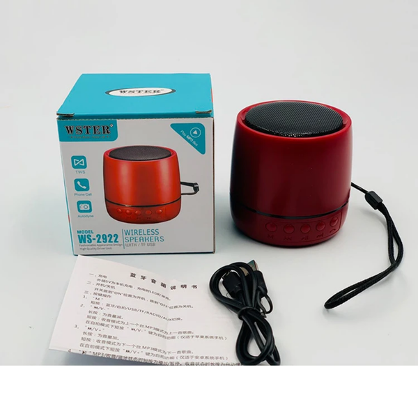 Enceinte Bluetooth Wster WS-2922
