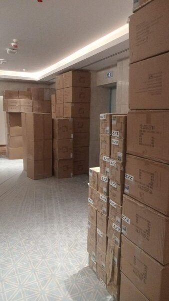 Latest Trending Casuall Sneakers