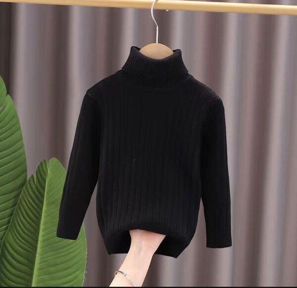 Pull chaud à col roulé