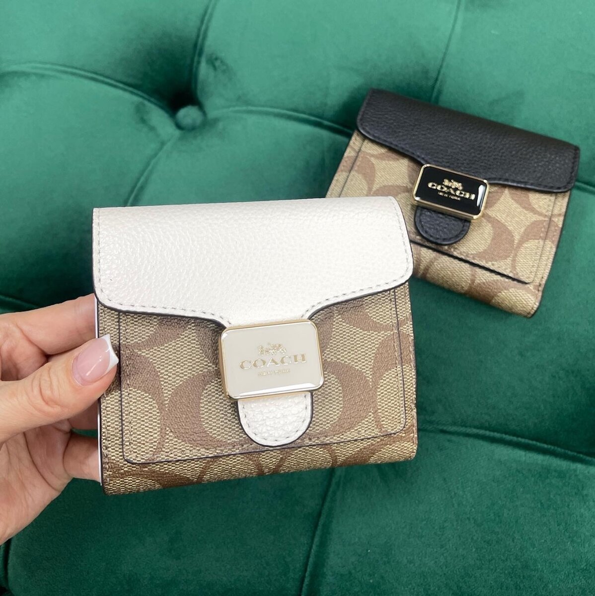 coach кошелек