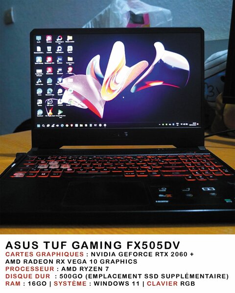 Asus Gaming TUF505 DV