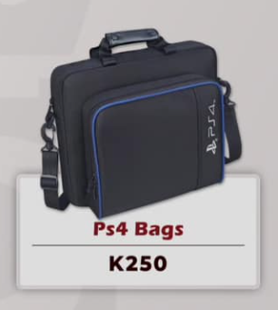 PS4 bag