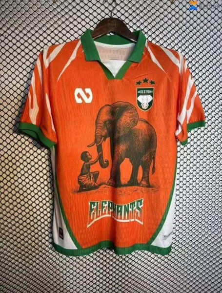 Maillot Équipe Éléphants