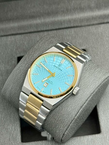 Montre Festina Classique Homme