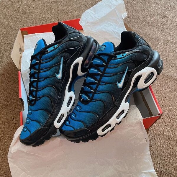 Tn Air Max bleues