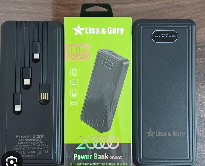 Lisa and Gary power banks
