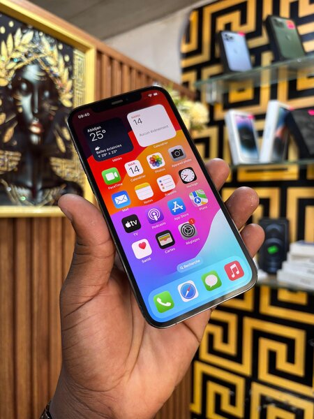 iPhone 12 Pro 128Go Gris