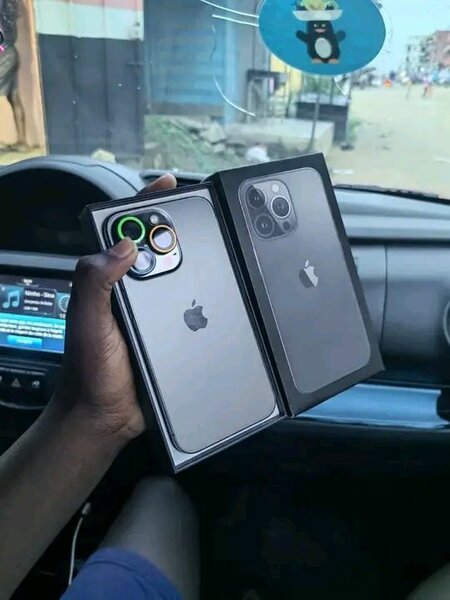 iPhone Pro Max 256 Go