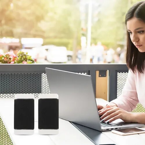 Enceintes Stéréo Compactes Premium