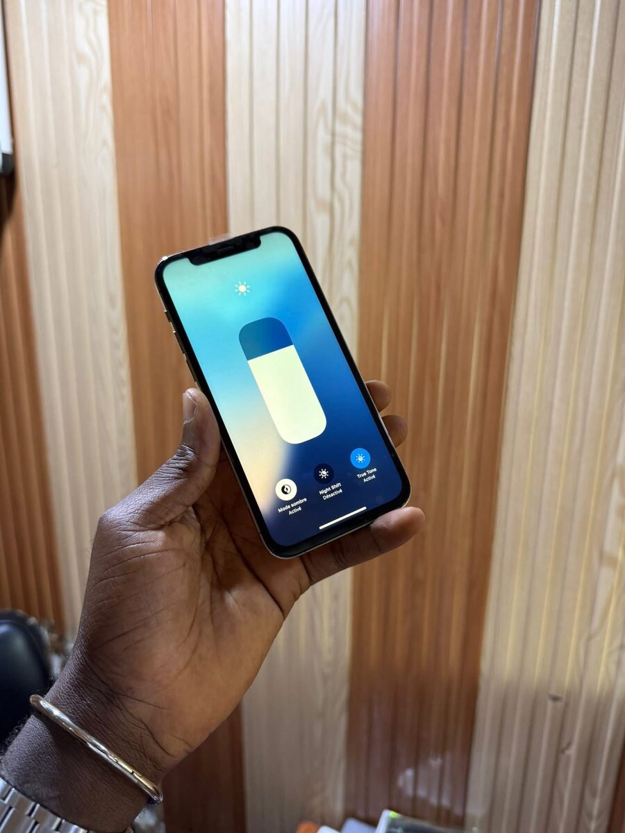 Smartphone élégant et performant