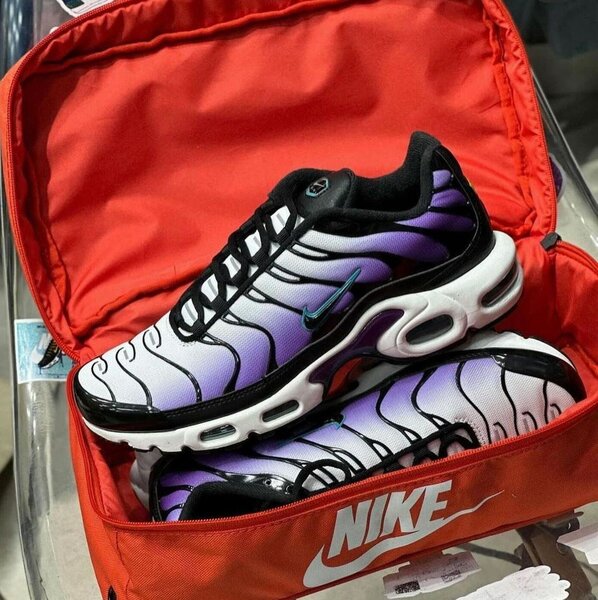 TN DISPONIBLE