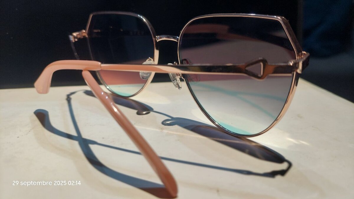 Lunettes de soleil élégantes