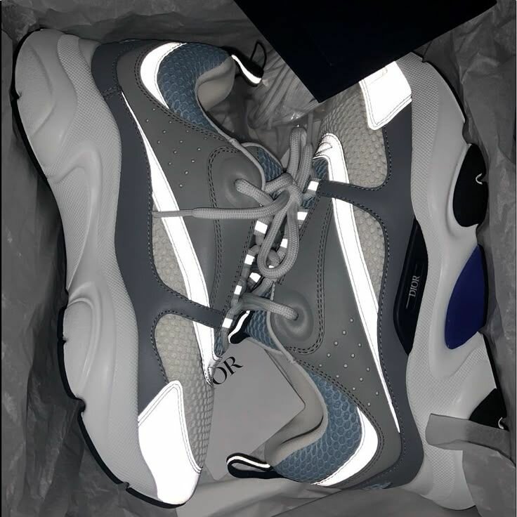 Baskets Dior Homme Grises