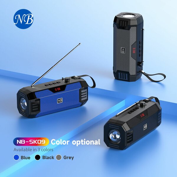 Enceinte Bluetooth Portable NB-SK09