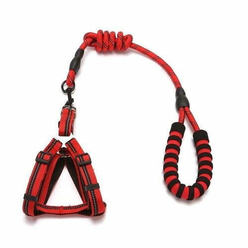 Laisse Chien De Traction rouge 