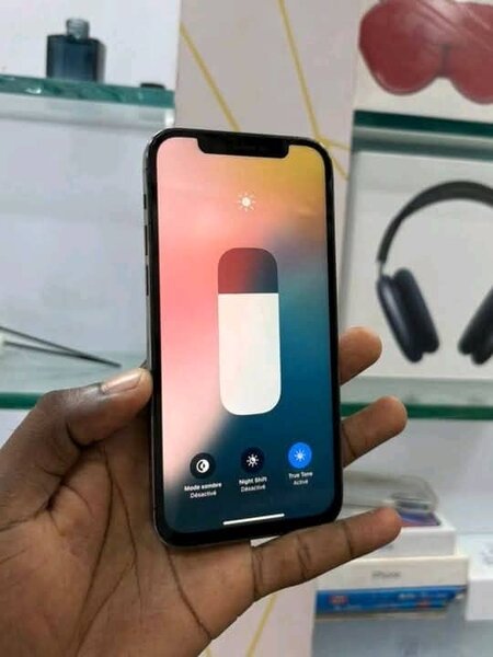 iPhone Pro Max Graphite