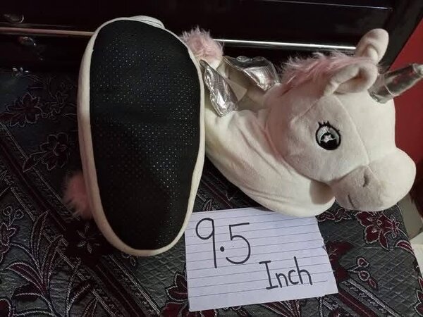 Ladies slippers