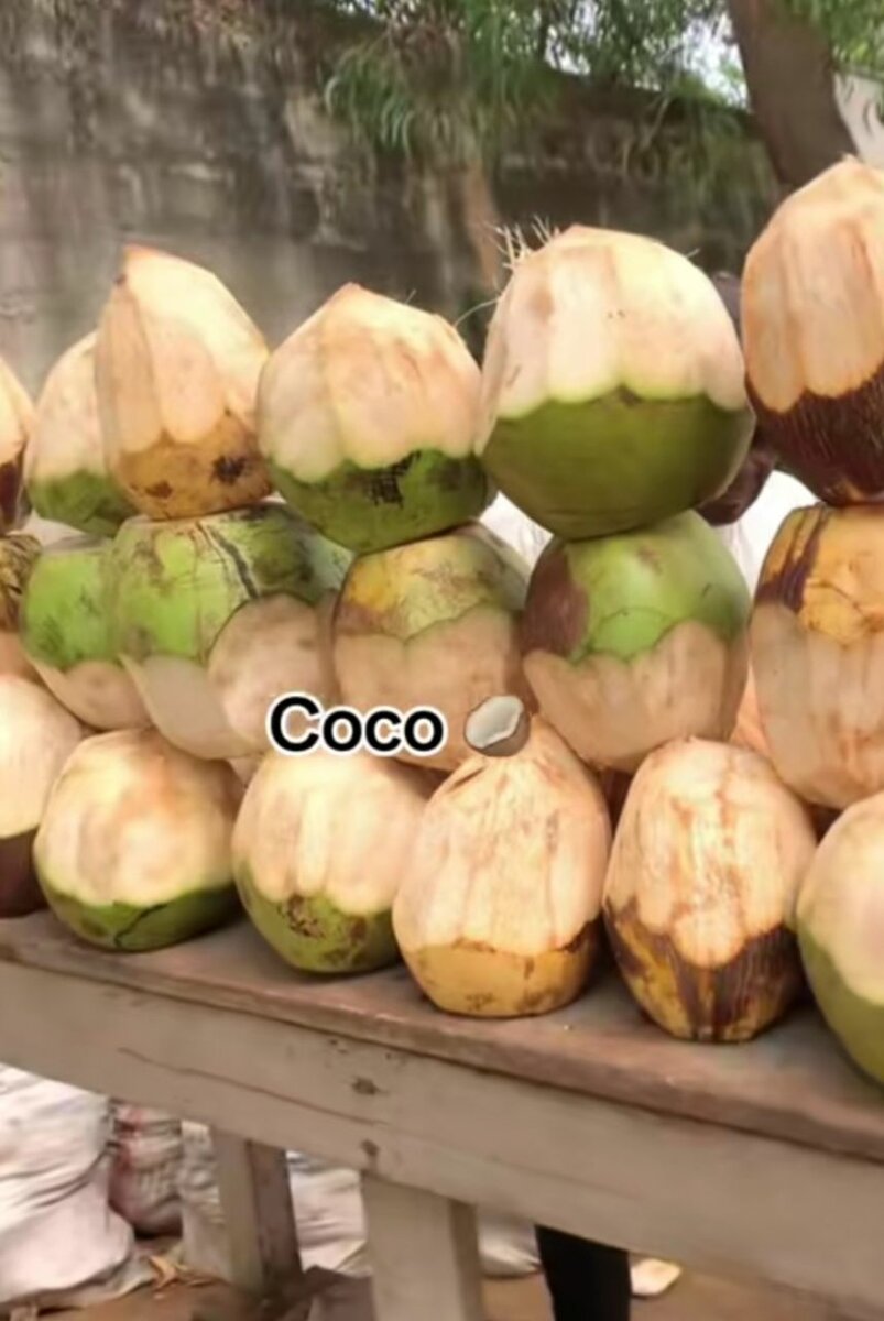 Noix de Coco Fraîches
