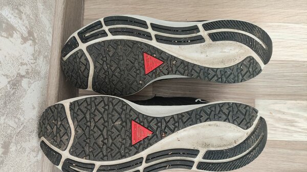 Мужские кроссовки Nike Air Zoom Pegasus 38 Shield