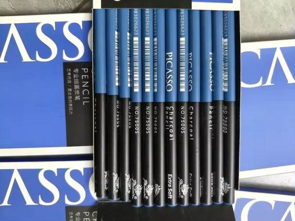 Crayons Fusains Picasso