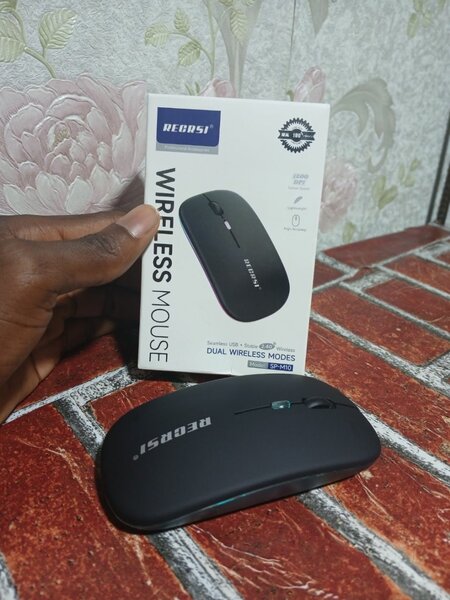 Souris Sans Fil rechargeable