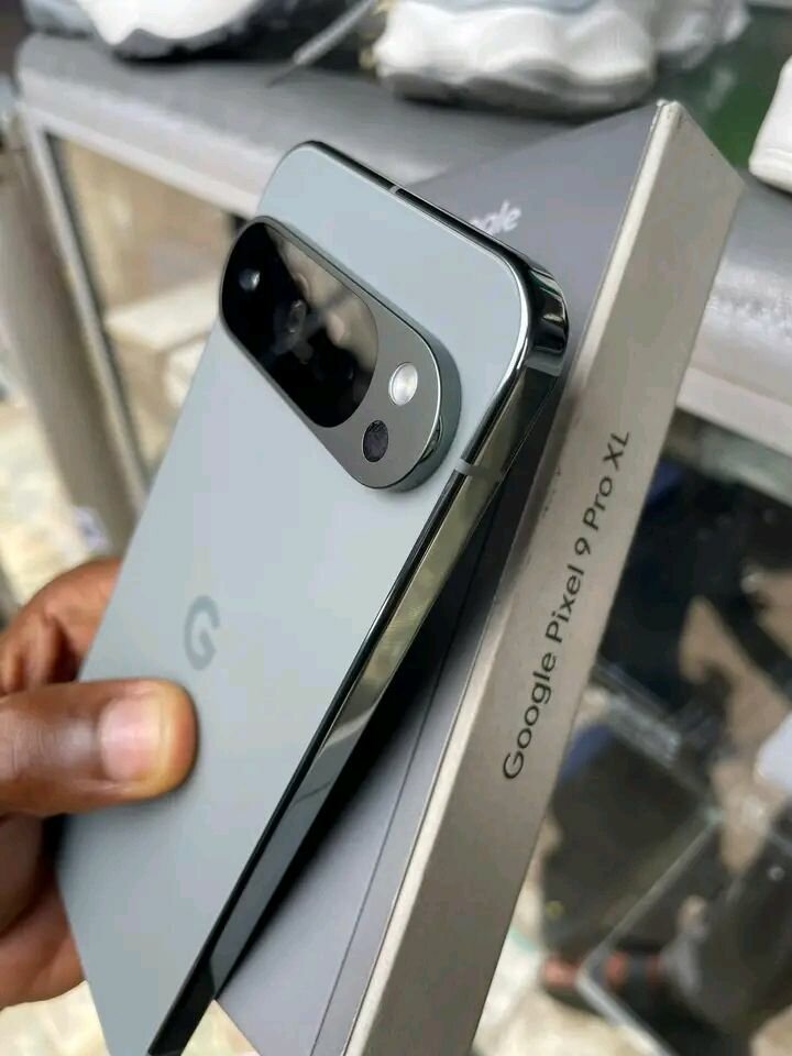 Google Pixel 9 Pro gris