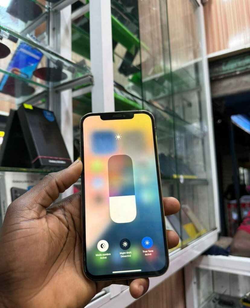 iPhone 12 Pro Max 264 giga