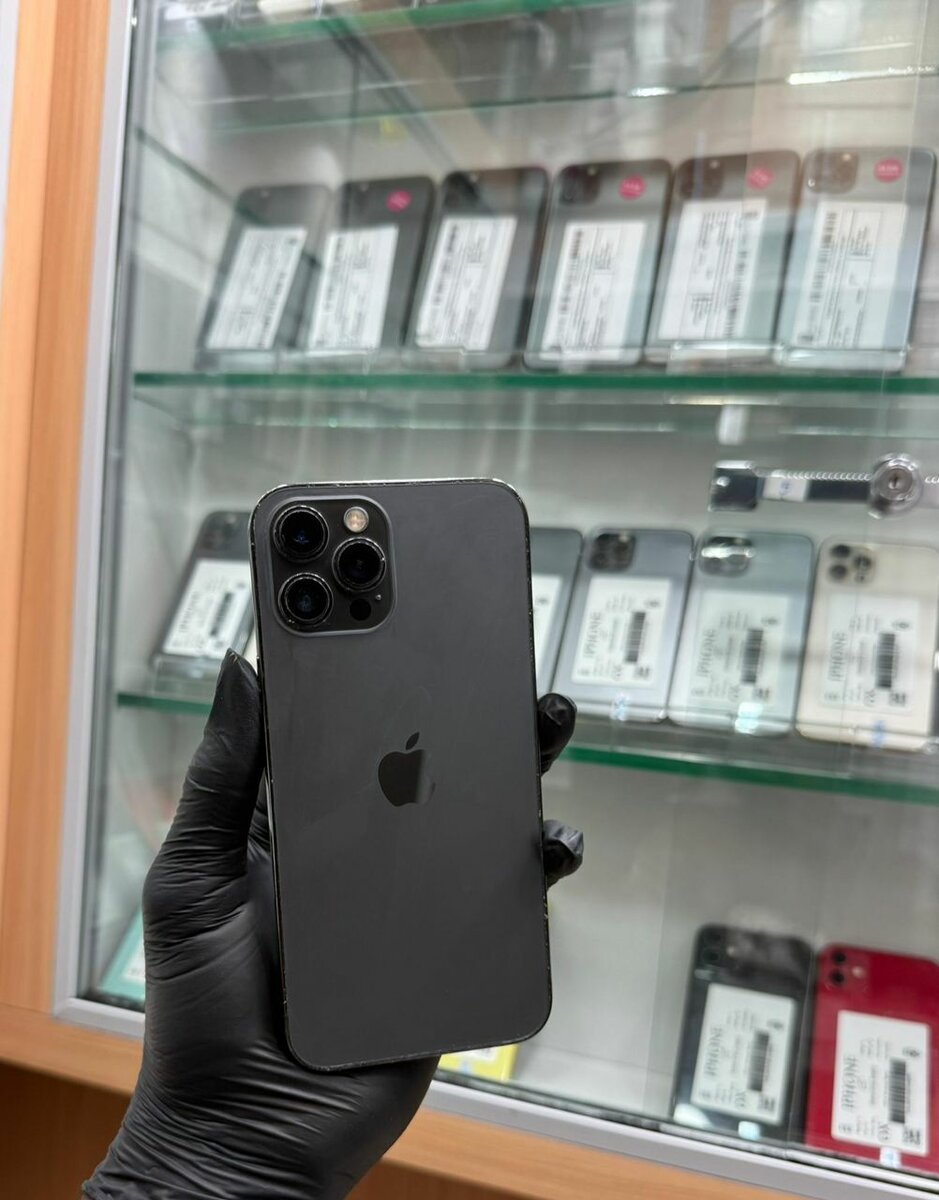 12 Pro Max 128Go tout est dor