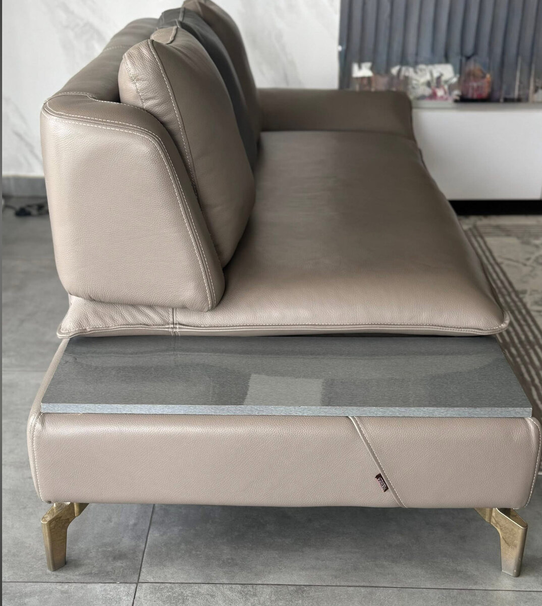 Canapé moderne en cuir